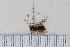  ( - BJMTG2020018)  @11 [ ] Unspecified (default): All Rights Reserved  Unspecified Unspecified