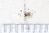  ( - BJMTG2020026)  @11 [ ] Unspecified (default): All Rights Reserved  Unspecified Unspecified