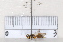  ( - BJMTG2020030)  @11 [ ] Unspecified (default): All Rights Reserved  Unspecified Unspecified