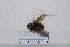  ( - BJMTG2020032)  @11 [ ] Unspecified (default): All Rights Reserved  Unspecified Unspecified