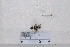  ( - BJMTG2020033)  @11 [ ] Unspecified (default): All Rights Reserved  Unspecified Unspecified