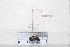  ( - BJMTG2020049)  @11 [ ] Unspecified (default): All Rights Reserved  Unspecified Unspecified