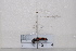  ( - BJMTG2020088)  @11 [ ] Unspecified (default): All Rights Reserved  Unspecified Unspecified