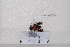  ( - BJMTG2020116)  @11 [ ] Unspecified (default): All Rights Reserved  Unspecified Unspecified