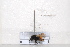  ( - BJMTG2020117)  @11 [ ] Unspecified (default): All Rights Reserved  Unspecified Unspecified