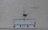  ( - BJMY2020004)  @11 [ ] Unspecified (default): All Rights Reserved  Unspecified Unspecified