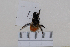  ( - BJYQ2020001)  @11 [ ] Unspecified (default): All Rights Reserved  Unspecified Unspecified