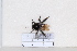  ( - BJYQ2020043)  @11 [ ] Unspecified (default): All Rights Reserved  Unspecified Unspecified
