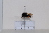  ( - BJYQ2020043)  @11 [ ] Unspecified (default): All Rights Reserved  Unspecified Unspecified