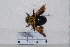  ( - GZZY2020001)  @11 [ ] Unspecified (default): All Rights Reserved  Unspecified Unspecified