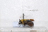  ( - GZZY2020001)  @11 [ ] Unspecified (default): All Rights Reserved  Unspecified Unspecified