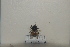  ( - 2021BJYQMLTC2)  @11 [ ] Unspecified (default): All Rights Reserved  Unspecified Unspecified
