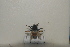  ( - 2021BJYQMLTC3)  @11 [ ] Unspecified (default): All Rights Reserved  Unspecified Unspecified