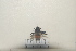  ( - 2021BJYQMLTC4)  @11 [ ] Unspecified (default): All Rights Reserved  Unspecified Unspecified