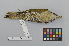  ( - NSMT-DNA2540)  @14 [ ] CreativeCommons - Attribution Non-Commercial Share-Alike (2014) I. Nishiumi National Museum of Nature and Science, Tokyo