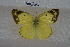  ( - BJUP257)  @11 [ ] CreativeCommons - Attribution Non-Commercial No Derivatives (2017) Sing Kong Wah Kunming Institute of Zoology