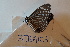  ( - 3TBG003)  @11 [ ] CreativeCommons - Attribution Non-Commercial No Derivatives (2018) Sing Kong Wah Kunming Institute of Zoology