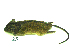 ( - mambg025)  @13 [ ] Copyright  G. Blagoev 2012 Unspecified