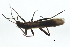  ( - 09BKSTO-059)  @13 [ ] CreativeCommons - Attribution (2010) Unspecified Centre for Biodiversity Genomics