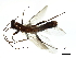  ( - 09BKSTO-061)  @12 [ ] CreativeCommons - Attribution (2010) Unspecified Centre for Biodiversity Genomics