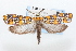  ( - CNCLEP00056250)  @15 [ ] CreativeCommons - Attribution (2009) Unspecified Centre for Biodiversity Genomics
