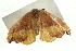  ( - BL346)  @12 [ ] CreativeCommons - Attribution (2009) Unspecified Centre for Biodiversity Genomics