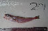  ( - ALS-201)  @14 [ ] No Rights Reserved (2013) Unspecified Coastal Marine Biolabs