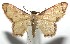  ( - 16-SRNP-105169)  @14 [ ] CreativeCommons  Attribution Non-Commercial Share-Alike (2017) Daniel H. Janzen Guanacaste Dry Forest Conservation Fund
