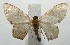  ( - 16-SRNP-105170)  @14 [ ] CreativeCommons  Attribution Non-Commercial Share-Alike (2017) Daniel H. Janzen Guanacaste Dry Forest Conservation Fund