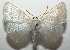  ( - 16-SRNP-105306)  @14 [ ] CreativeCommons  Attribution Non-Commercial Share-Alike (2017) Daniel H. Janzen Guanacaste Dry Forest Conservation Fund