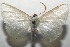  ( - 16-SRNP-105308)  @14 [ ] CreativeCommons  Attribution Non-Commercial Share-Alike (2017) Daniel H. Janzen Guanacaste Dry Forest Conservation Fund