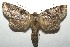  ( - 16-SRNP-105420)  @14 [ ] CreativeCommons  Attribution Non-Commercial Share-Alike (2017) Daniel H. Janzen Guanacaste Dry Forest Conservation Fund