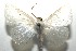  ( - 16-SRNP-105556)  @14 [ ] CreativeCommons  Attribution Non-Commercial Share-Alike (2017) Daniel H. Janzen Guanacaste Dry Forest Conservation Fund
