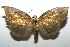  ( - 16-SRNP-105666)  @14 [ ] CreativeCommons  Attribution Non-Commercial Share-Alike (2017) Daniel H. Janzen Guanacaste Dry Forest Conservation Fund