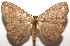  ( - 16-SRNP-105916)  @14 [ ] CreativeCommons  Attribution Non-Commercial Share-Alike (2017) Daniel H. Janzen Guanacaste Dry Forest Conservation Fund