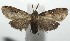  ( - 16-SRNP-105942)  @14 [ ] CreativeCommons  Attribution Non-Commercial Share-Alike (2017) Daniel H. Janzen Guanacaste Dry Forest Conservation Fund