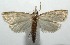  ( - 16-SRNP-105977)  @14 [ ] CreativeCommons  Attribution Non-Commercial Share-Alike (2017) Daniel H. Janzen Guanacaste Dry Forest Conservation Fund