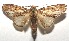 ( - 16-SRNP-106160)  @14 [ ] CreativeCommons  Attribution Non-Commercial Share-Alike (2017) Daniel H. Janzen Guanacaste Dry Forest Conservation Fund
