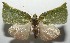  ( - 17-SRNP-101159)  @14 [ ] CreativeCommons - Attribution Non-Commercial Share-Alike (2018) Daniel H. Janzen Guanacaste Dry Forest Conservation Fund