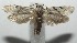  ( - 17-SRNP-101230)  @11 [ ] CreativeCommons - Attribution Non-Commercial Share-Alike (2018) Daniel H. Janzen Guanacaste Dry Forest Conservation Fund