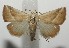  ( - 17-SRNP-101421)  @11 [ ] CreativeCommons - Attribution Non-Commercial Share-Alike (2018) Daniel H. Janzen Guanacaste Dry Forest Conservation Fund
