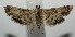  ( - 17-SRNP-101513)  @11 [ ] CreativeCommons - Attribution Non-Commercial Share-Alike (2018) Daniel H. Janzen Guanacaste Dry Forest Conservation Fund