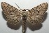  ( - 17-SRNP-101632)  @11 [ ] CreativeCommons - Attribution Non-Commercial Share-Alike (2018) Daniel H. Janzen Guanacaste Dry Forest Conservation Fund