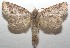  ( - 17-SRNP-102151)  @14 [ ] CreativeCommons - Attribution Non-Commercial Share-Alike (2018) Daniel H. Janzen Guanacaste Dry Forest Conservation Fund