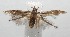  ( - 17-SRNP-102213)  @11 [ ] CreativeCommons - Attribution Non-Commercial Share-Alike (2018) Daniel H. Janzen Guanacaste Dry Forest Conservation Fund