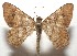  ( - 17-SRNP-102317)  @14 [ ] CreativeCommons - Attribution Non-Commercial Share-Alike (2018) Daniel H. Janzen Guanacaste Dry Forest Conservation Fund