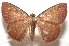  ( - 17-SRNP-102325)  @11 [ ] CreativeCommons - Attribution Non-Commercial Share-Alike (2018) Daniel H. Janzen Guanacaste Dry Forest Conservation Fund