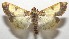  ( - 17-SRNP-103445)  @11 [ ] CreativeCommons - Attribution Non-Commercial Share-Alike (2018) Daniel H. Janzen Guanacaste Dry Forest Conservation Fund