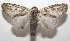  ( - 17-SRNP-103892)  @11 [ ] CreativeCommons - Attribution Non-Commercial Share-Alike (2018) Daniel H. Janzen Guanacaste Dry Forest Conservation Fund