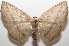  ( - 17-SRNP-104069)  @14 [ ] CreativeCommons - Attribution Non-Commercial Share-Alike (2018) Daniel H. Janzen Guanacaste Dry Forest Conservation Fund